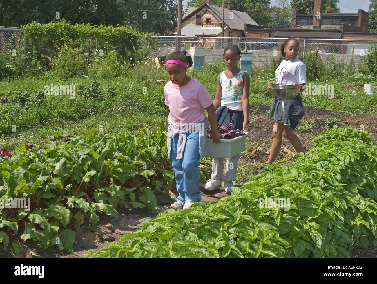 I bambini lavorano nelle mense Garden Foto Stock