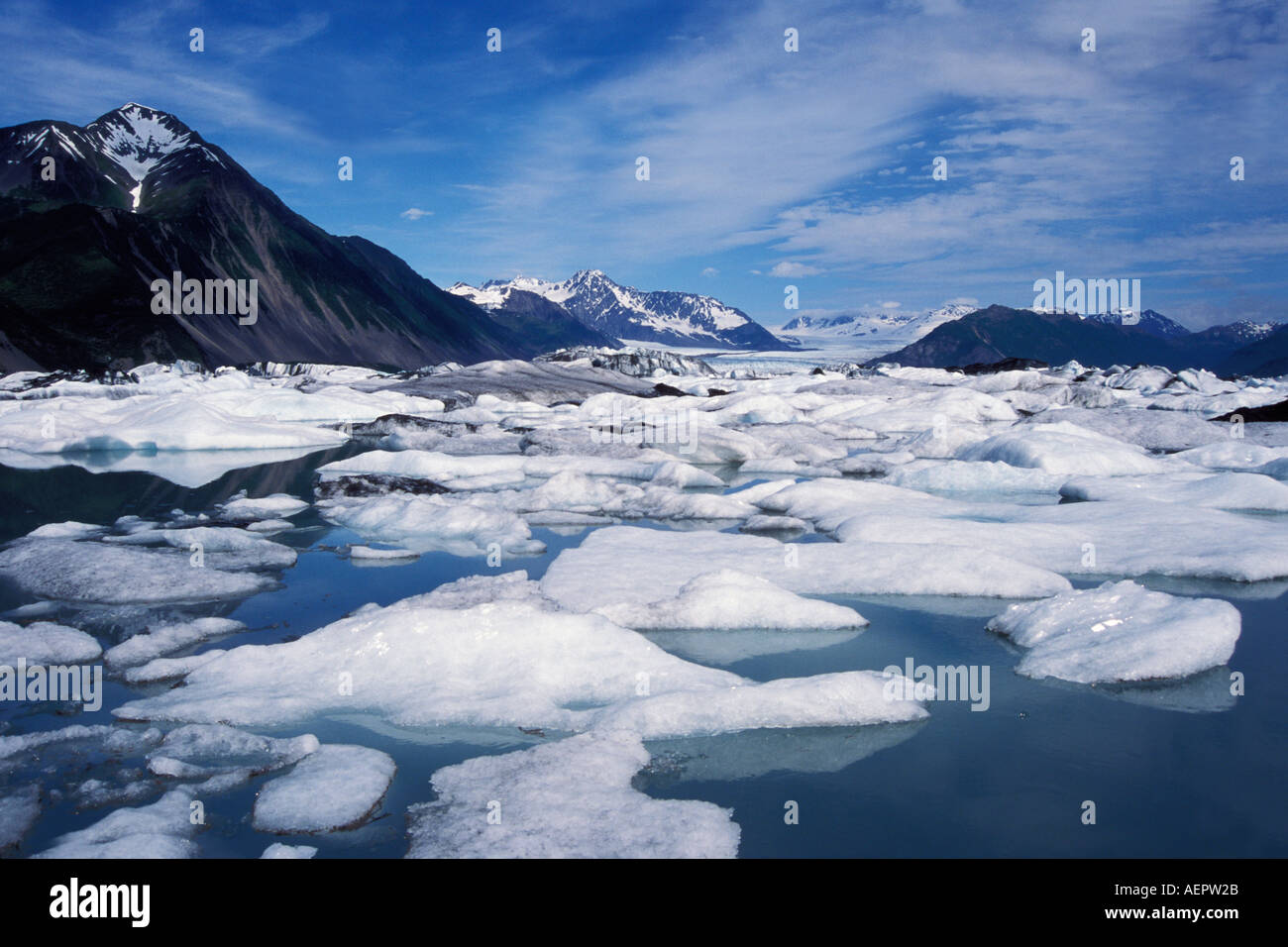 Giganti blu Iceberg dal ghiacciaio di orso nel Parco nazionale di Kenai Fjords centromeridionale Alaska Foto Stock