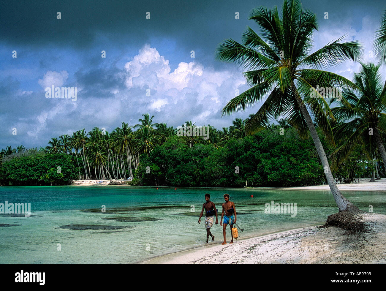 Tropical Bay nei pressi della spiaggia di Punta Cana Repubblica Dominicana arcipelago delle Antille Maggiori dei Caraibi Foto Stock