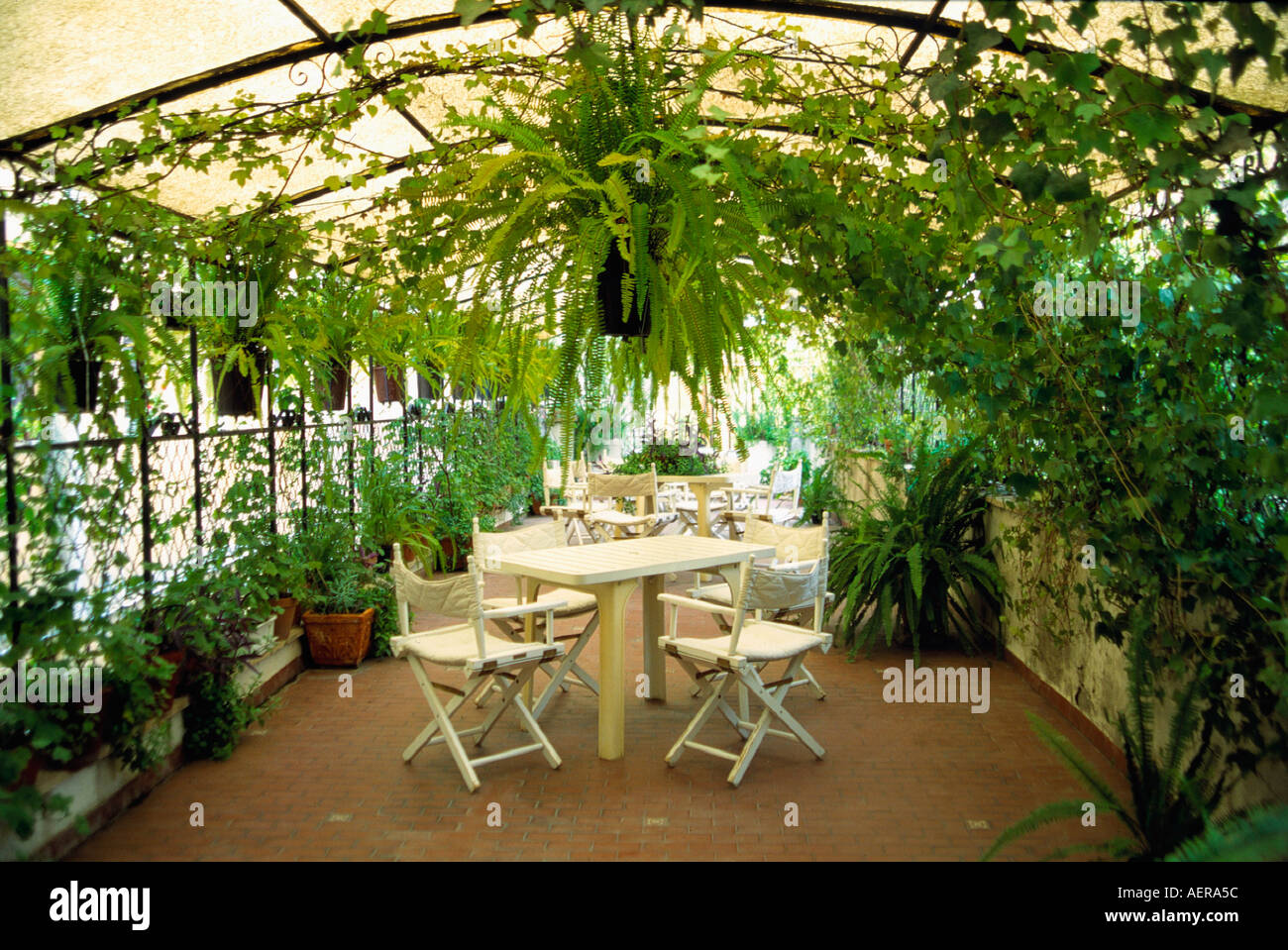 Giardino dinverno hotel king cittã di roma italia foto & immagine ... Giardino d inverno roma
