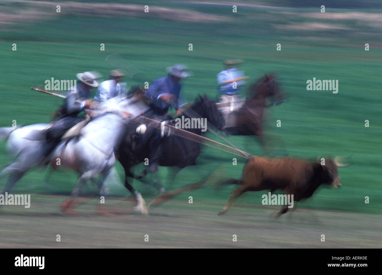 Acoso y derribo 1a di 4 sequenza di immagini Foto Stock