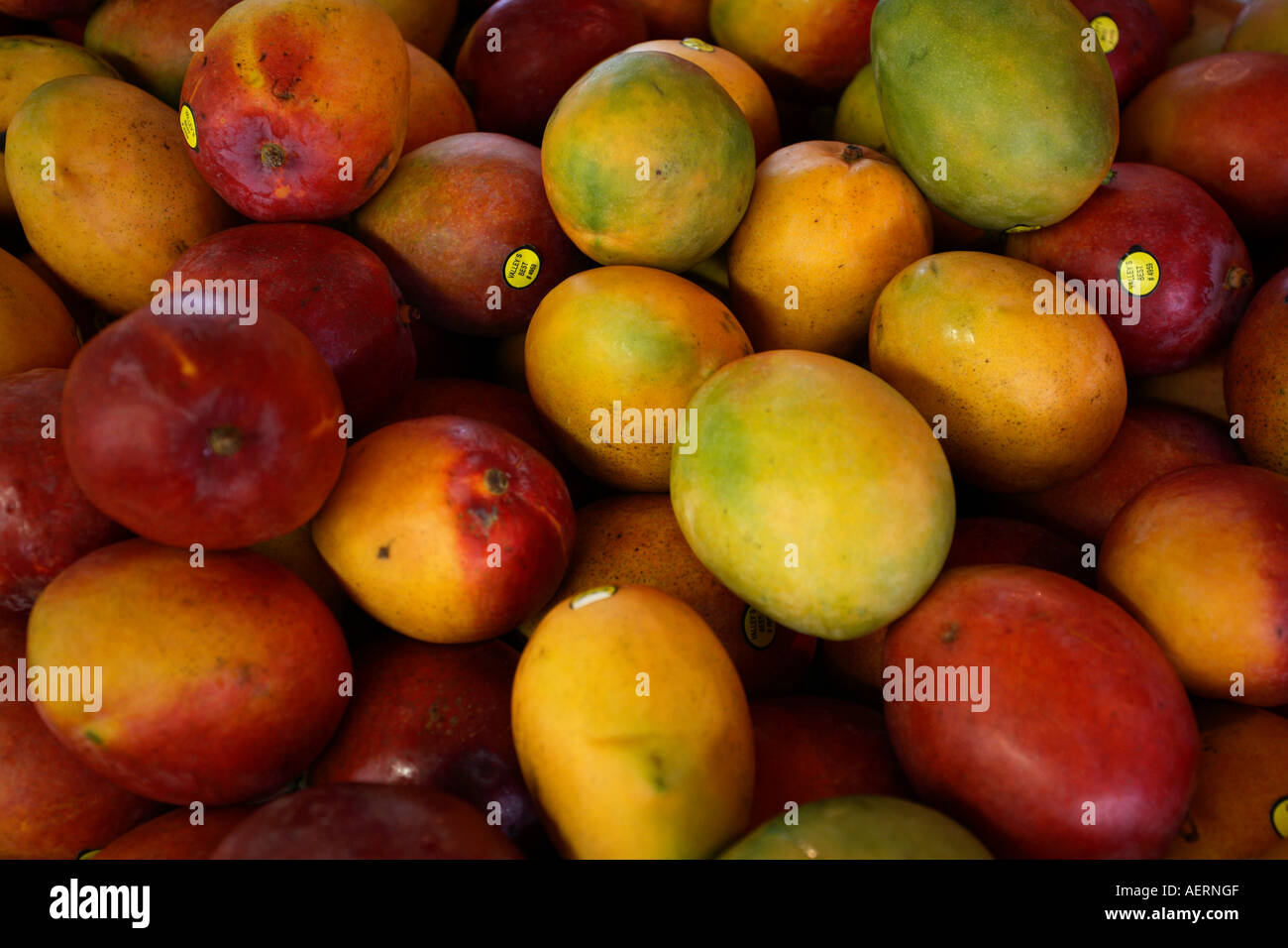 Manghi in vendita presso il mercato degli agricoltori il centro cittadino di Los Angeles, Stati Uniti d'America Foto Stock