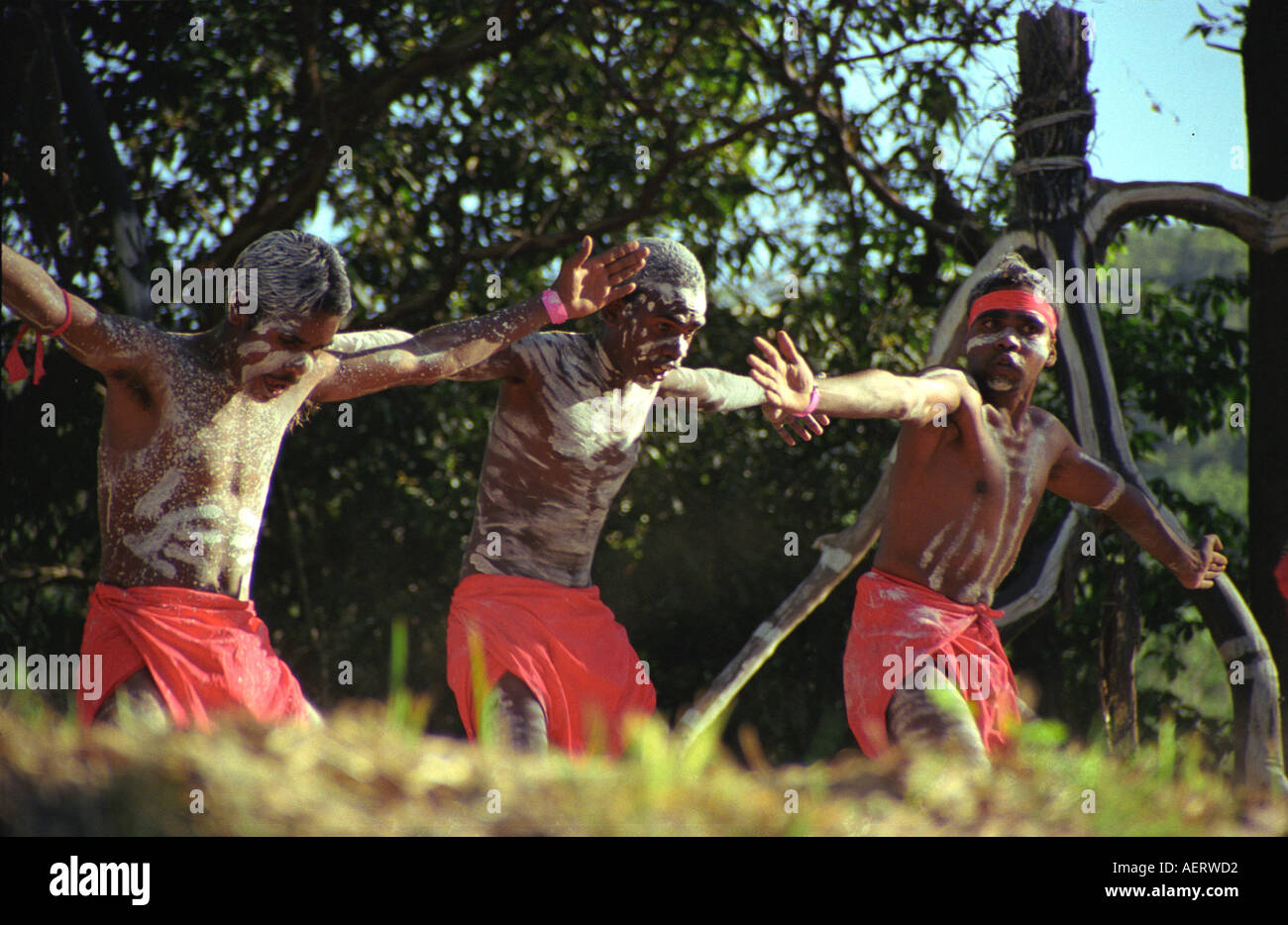 Danzatori Aborigeni nel corroboree a woodford festival folk, Queensland, Australia Foto Stock