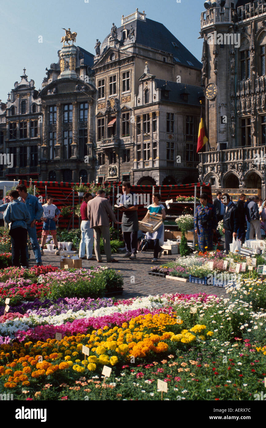 Belgio,Belgio,Ovest,Europa del Nord,Europa,Europa,Unione europea,UE,E.U.,Bruxelles,Grand Place Grote Markt,mercato dei fiori della domenica,mercato dei fiori, mercato Foto Stock