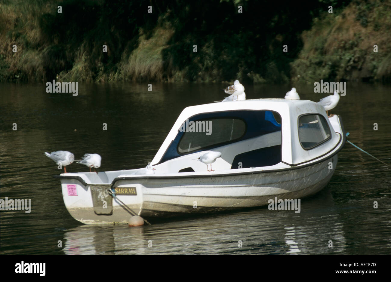 Barca sul fiume Fowey in corrispondenza a Golant Cornwall Regno Unito Foto Stock