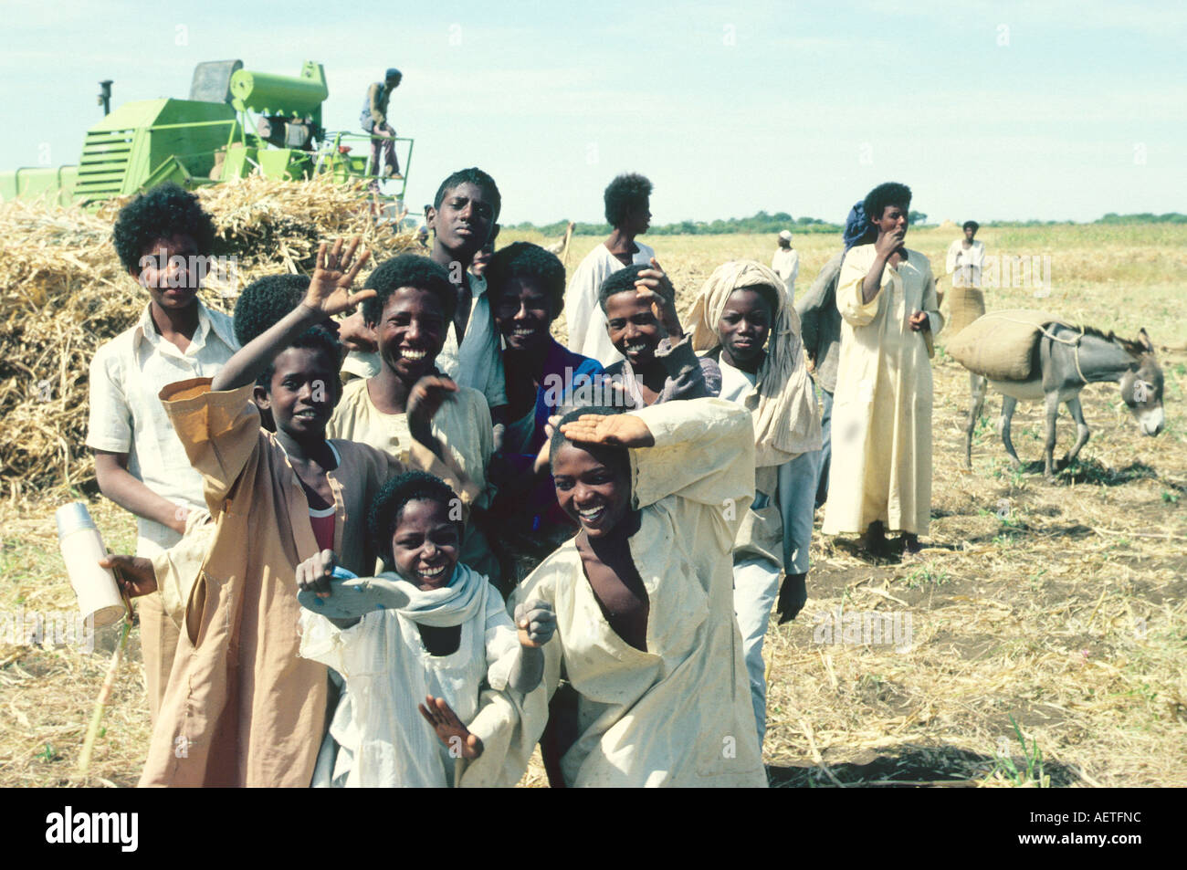 SUDAN i ragazzi al tempo del raccolto Foto Stock