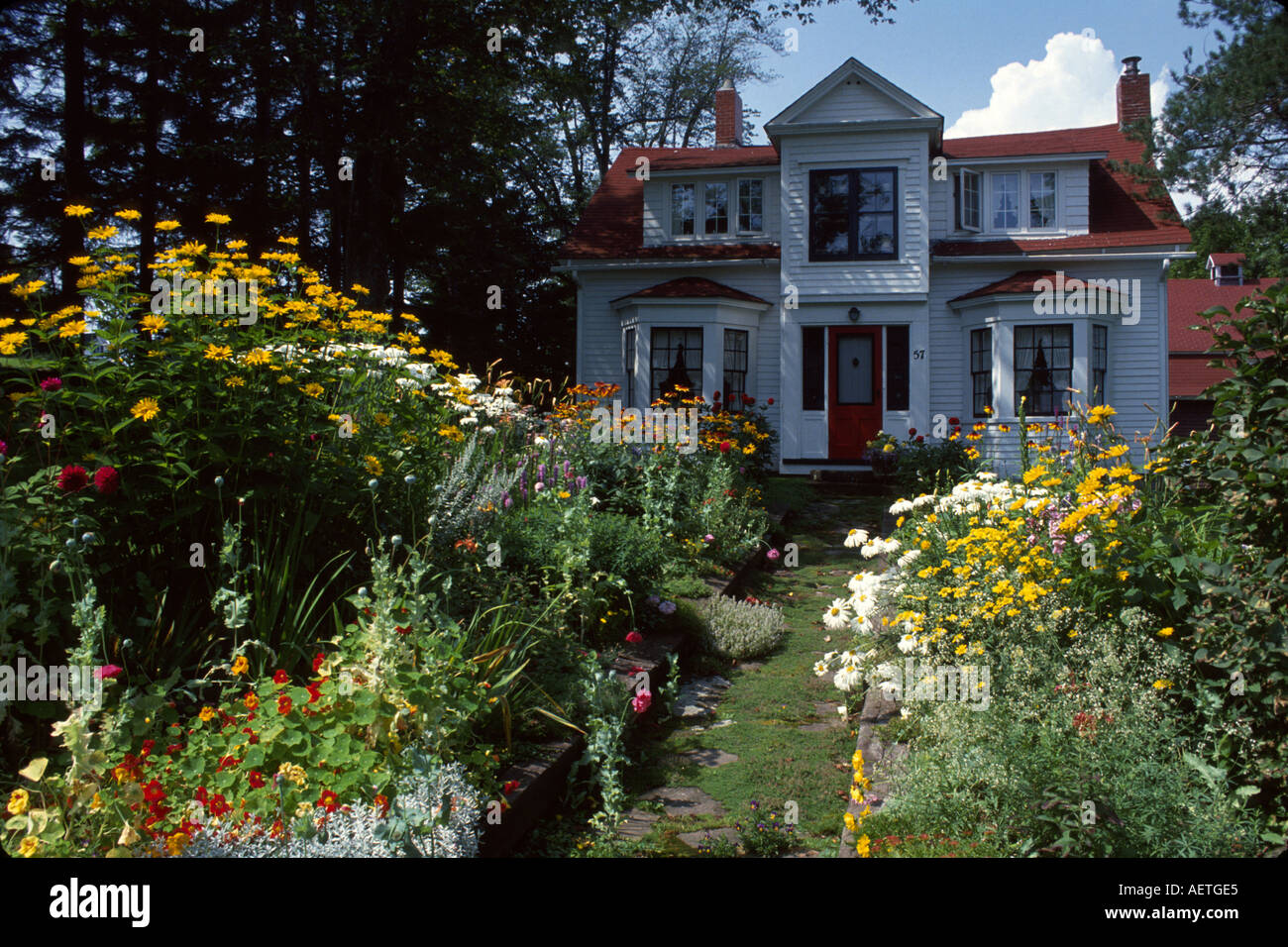 Canada,Canada,Nord America,America,America,New Brunswick Province,Sackville,fiori selvatici,casa,residenza,casa case case alloggio,edificio,archite Foto Stock