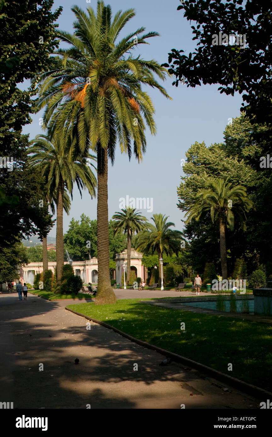 Le palme in Dona Casilda Iturrizar Park Bilbao Pais Vasco Paesi baschi Spagna Europa Foto Stock