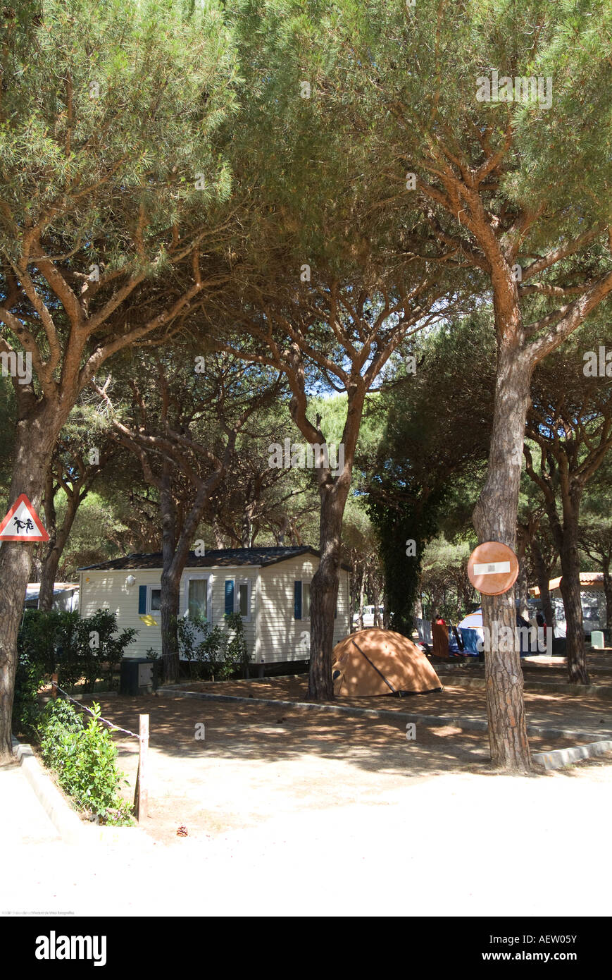 Segnaletica stradale inchiodato su alberi in un campeggio a cadice, Andalusia, Spagna Foto Stock