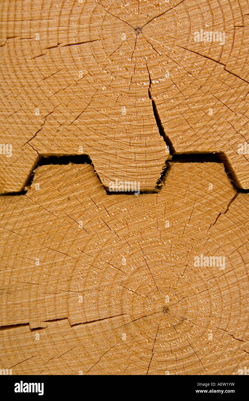 Un close up macro del legno di un incastro a coda di rondine. Foto Stock