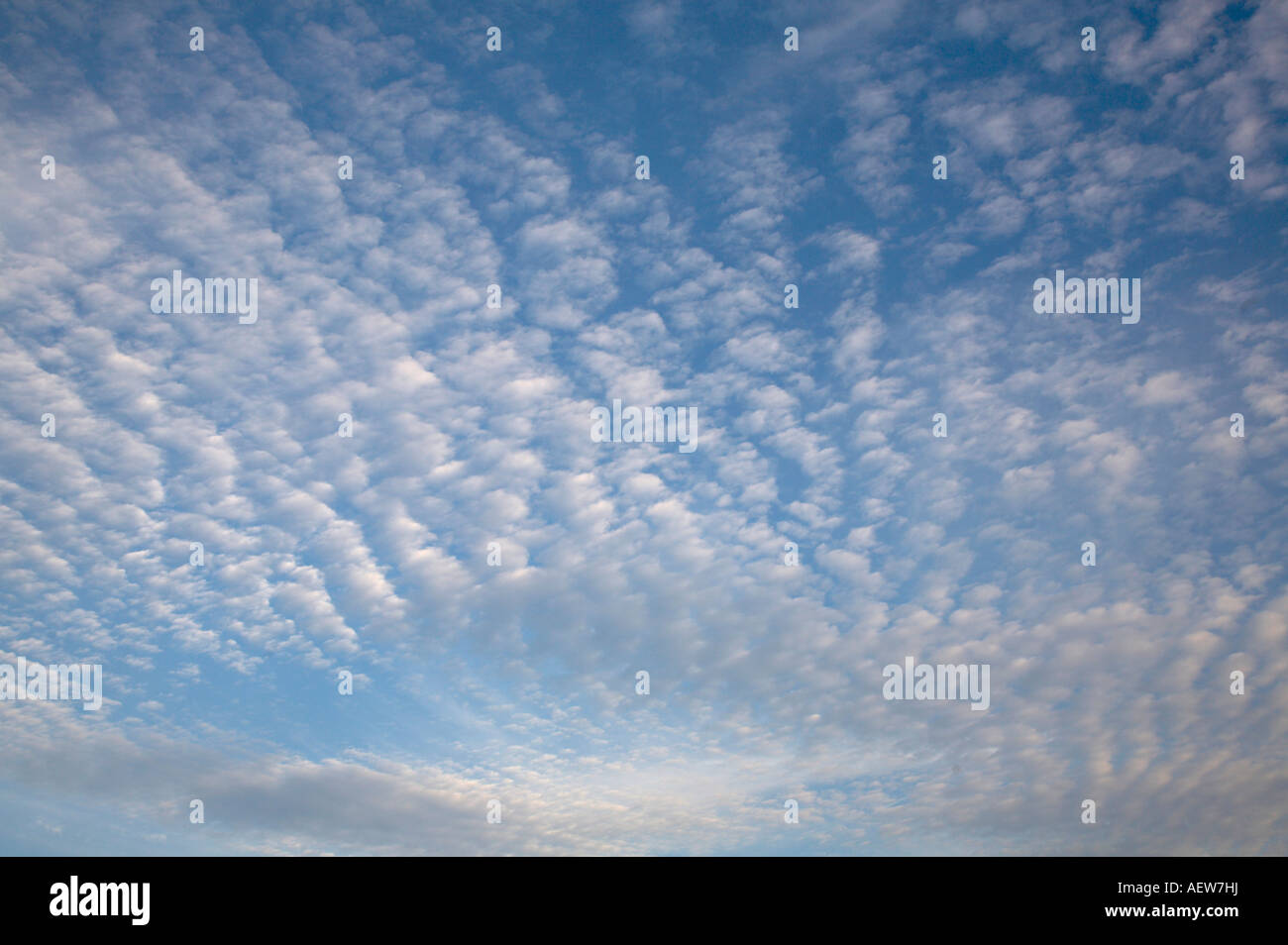 Altocumulus nuvole sopra il ASdirondack montagne dello Stato di New York Foto Stock