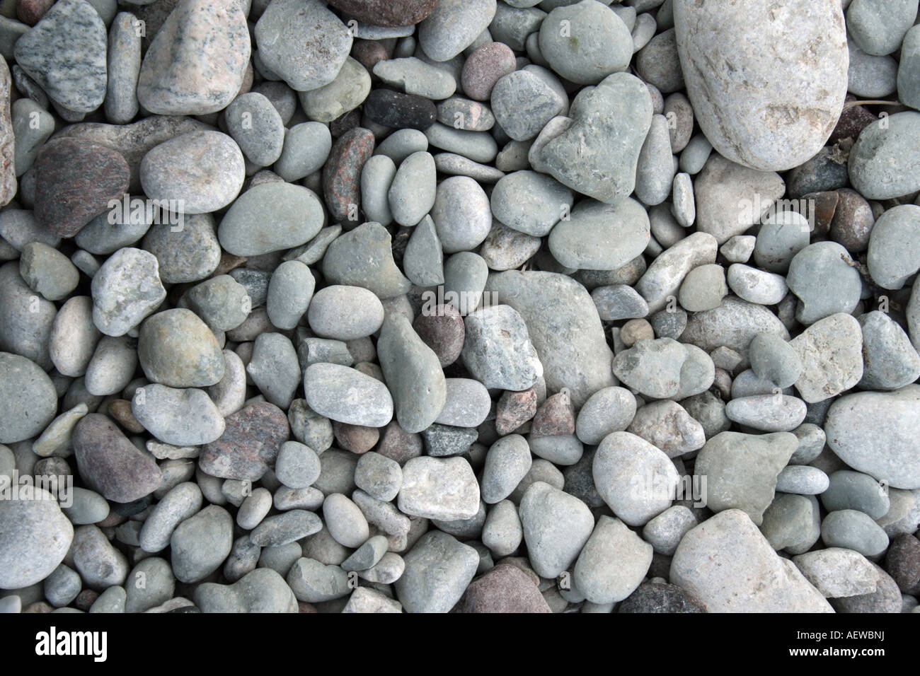 Pietre arrotondate sulla spiaggia a Visby in Gotland Svezia Foto Stock