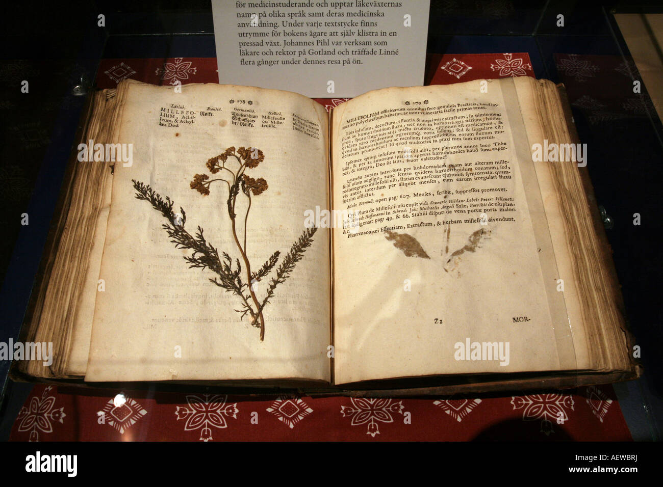 Libro di erba di Johannes Pihl presso il museo Gotlands Fornsal a Visby Gotland Svezia. Realizzato nell'anno 1720. Foto Stock