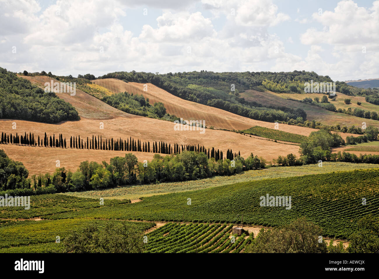 Scena rurale toscana italia Europa Foto Stock