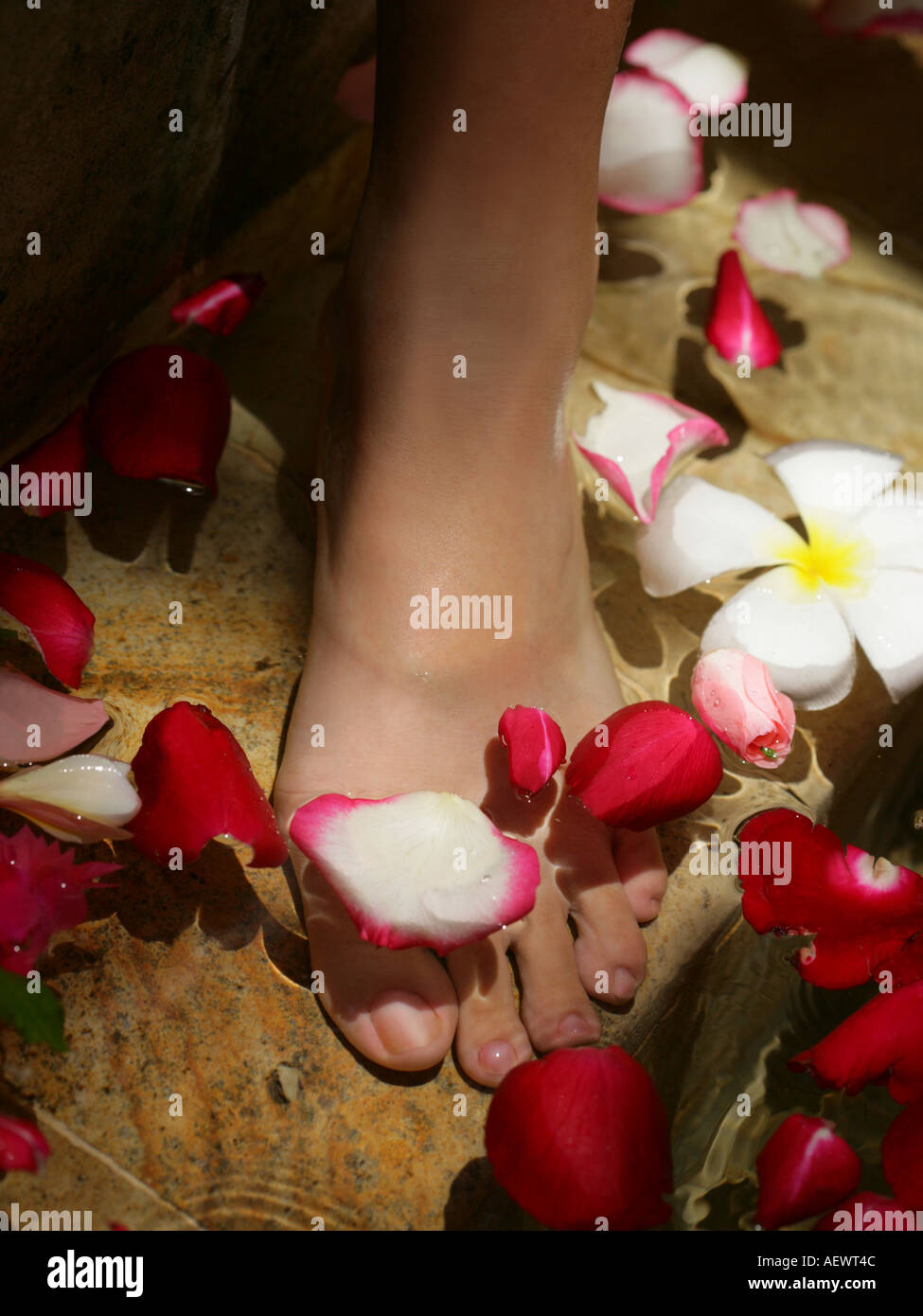 In prossimità di una donna s piedi immerso in acqua con petali di fiori Foto Stock