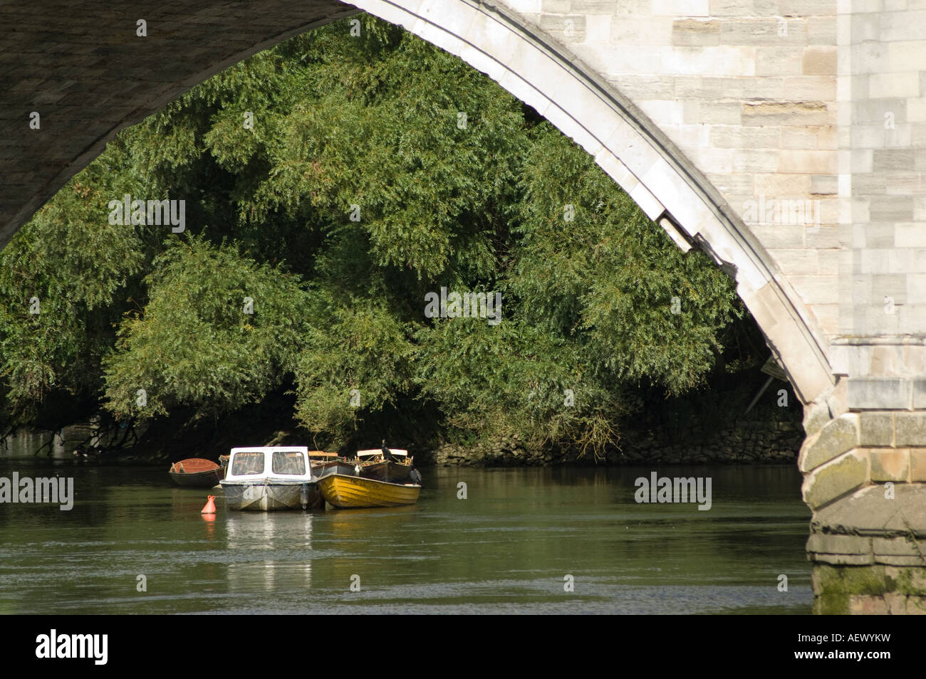 Barca sul Fiume Tamigi a Richmond Bridge Foto Stock