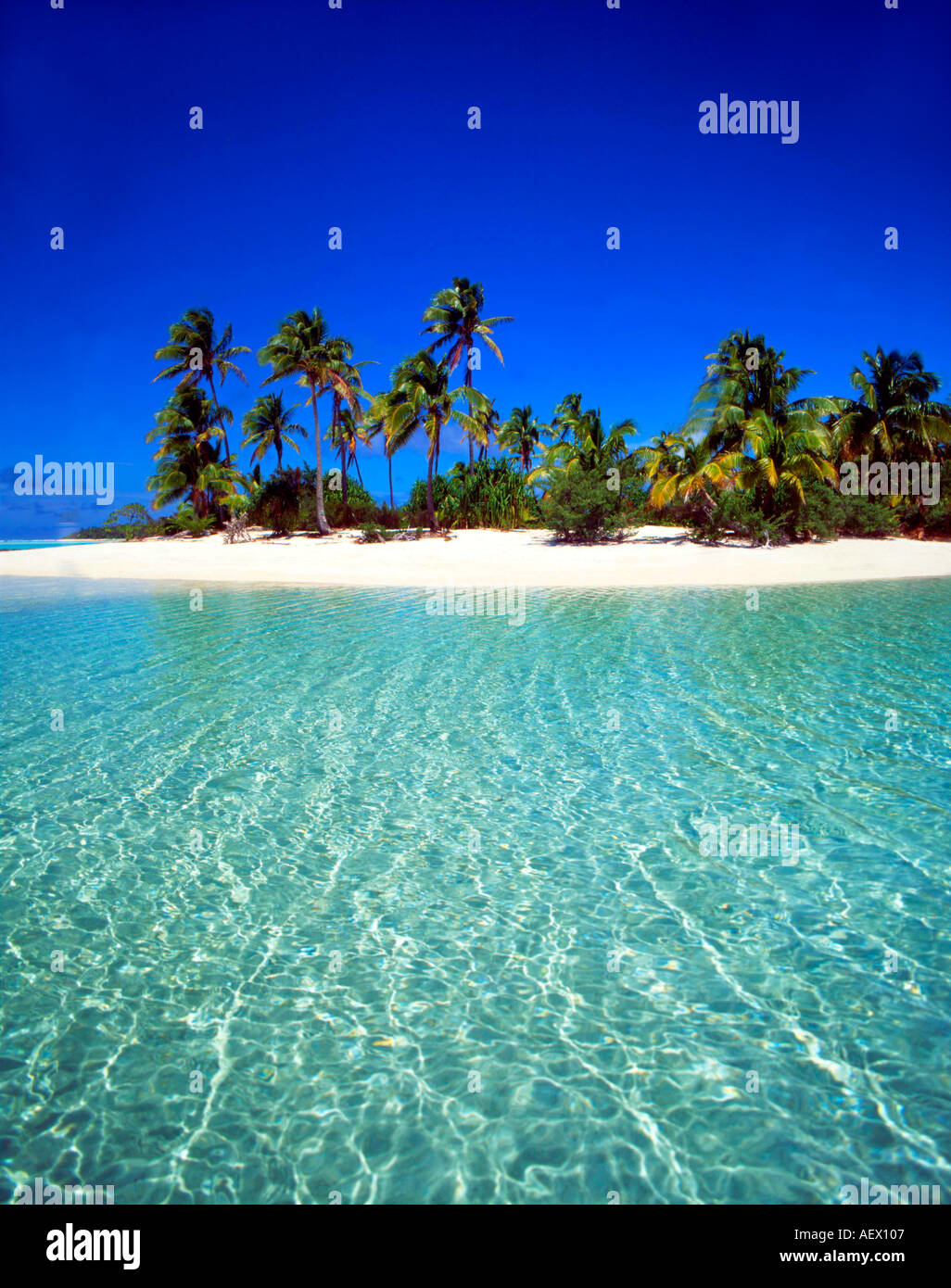 Sud Pacifico Isole Cook Aitutaki Lagoon un piede isola sogno spiaggia cristal acqua chiara Foto Stock