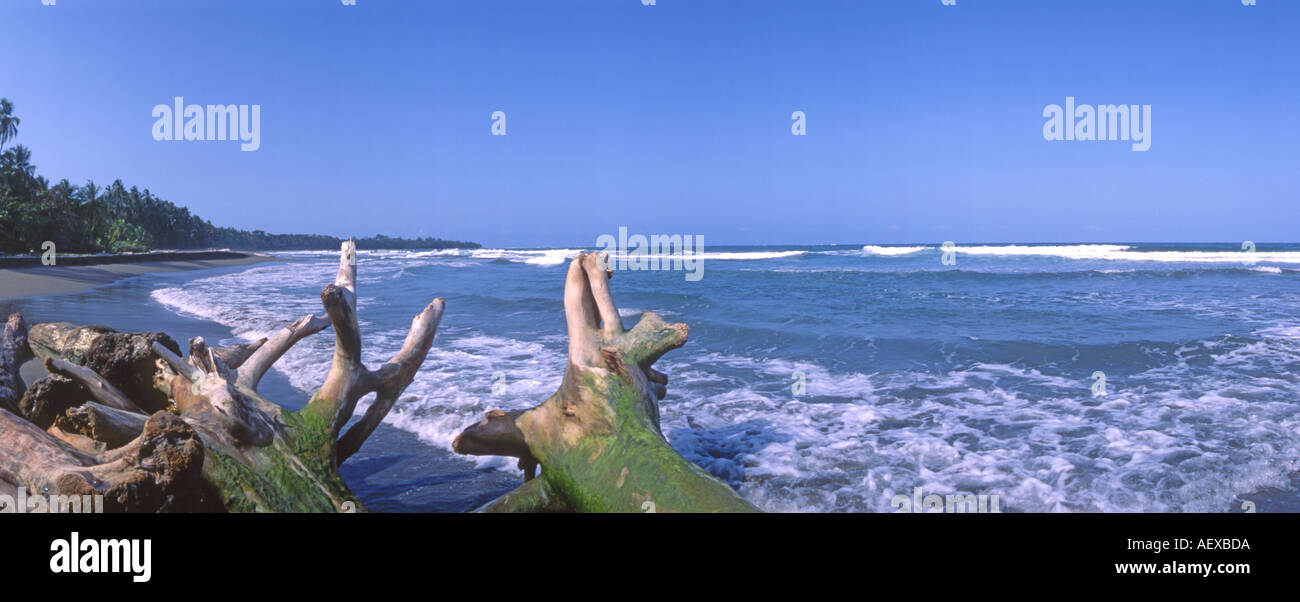 Parco Nazionale di Manuel Antonio selvaggia spiaggia di Playa Manuel Antonio Foto Stock