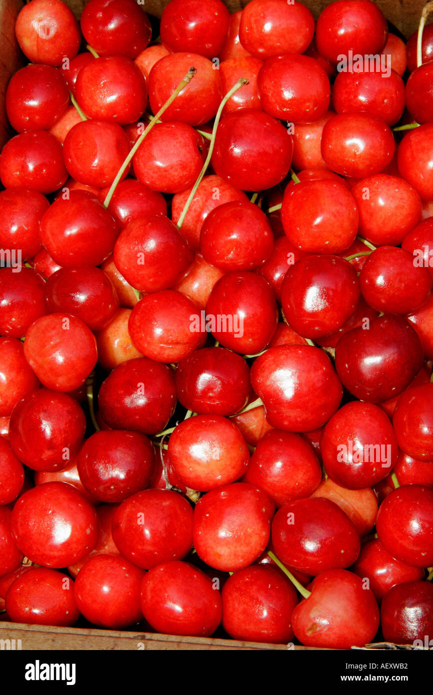 Frutta di colore rosso ciliegia Foto Stock