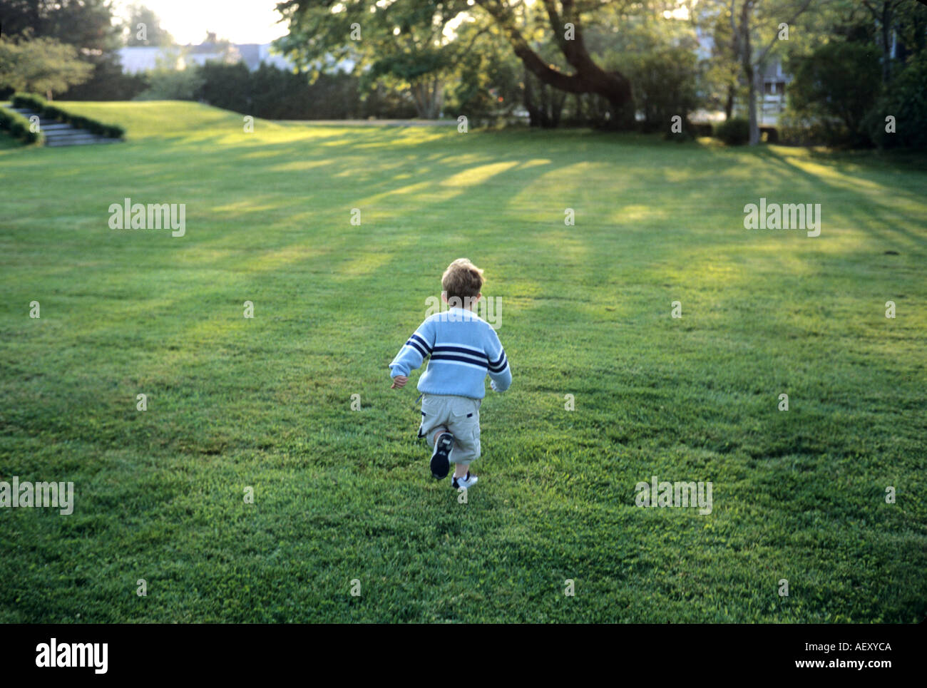 Un bambino piccolo in esecuzione su un prato verde. Un gioioso giocoso ragazzo. La vacanza estiva. Libertà Foto Stock