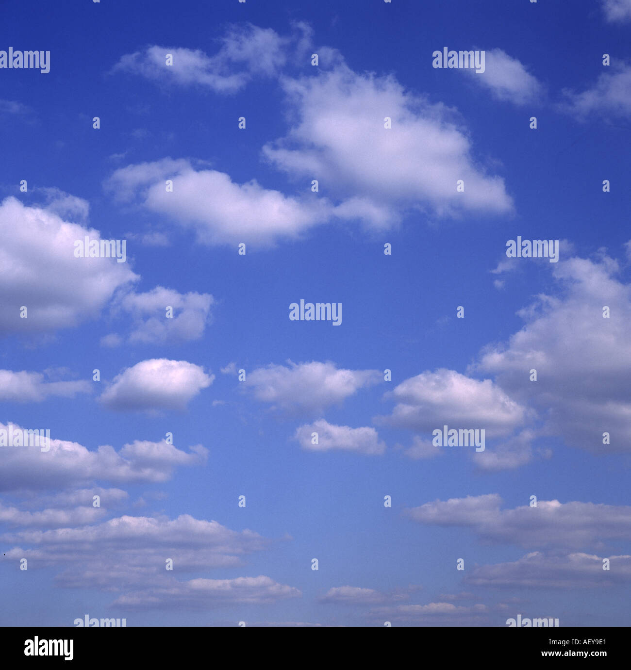 Cielo blu chiaro con luce soffici nuvole cumulus Foto Stock