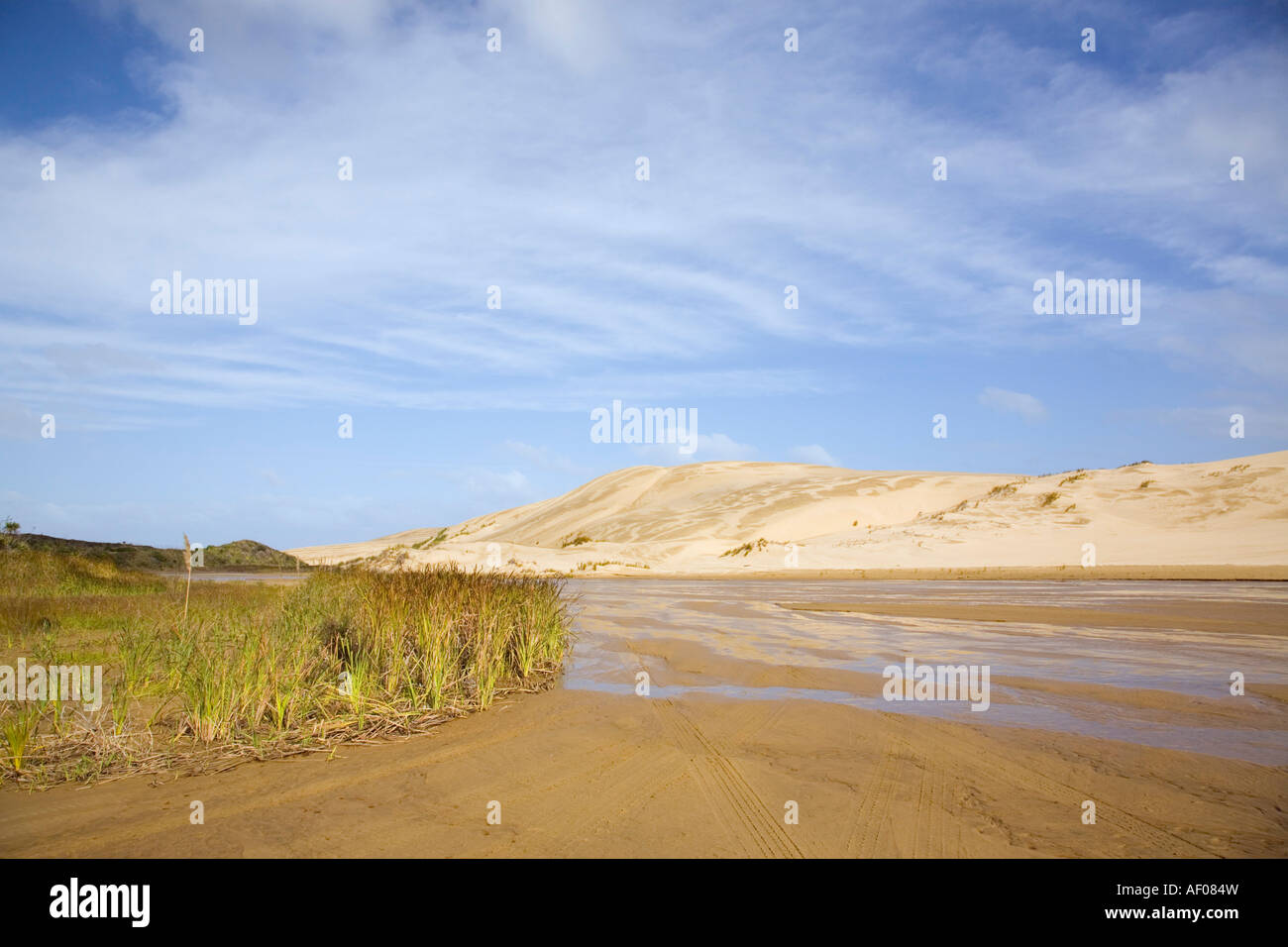 Pericoloso quicksand Te Paki Stream rampa di accesso e visualizzazione di grandi dune di sabbia Aupori Peninsula Northland Isola del nord della Nuova Zelanda Foto Stock
