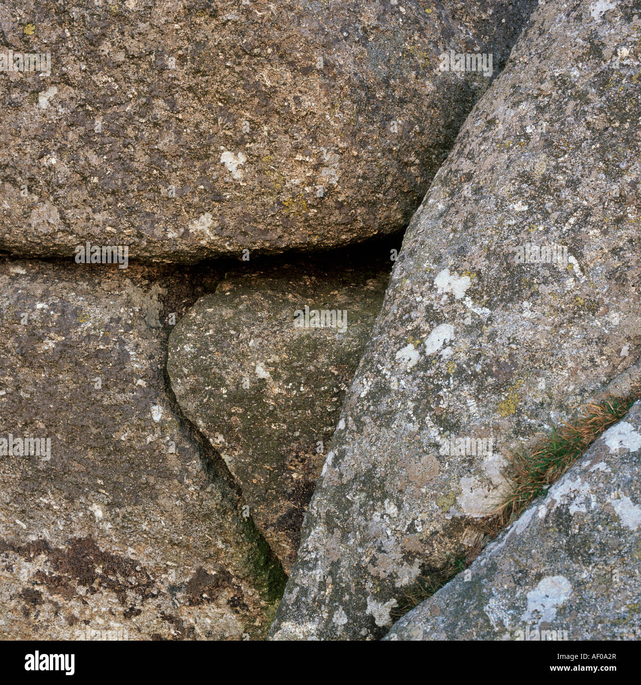 Dettaglio delle rocce di granito a Combestone Tor, Dartmoor Devon, Regno Unito Foto Stock