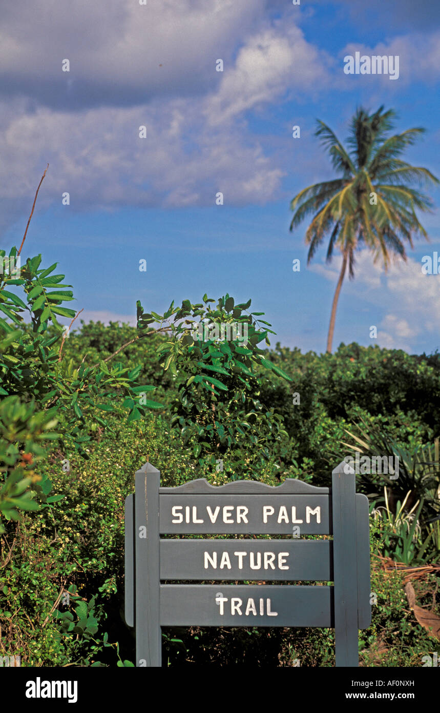 Bahia Honda State Park Florida Keys Silver Palm Sentiero Natura Foto Stock