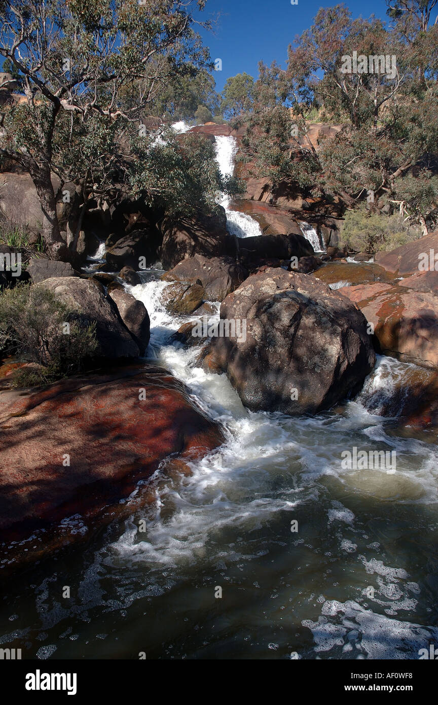 Parco nazionale di cade in inverno John Forrest Parco Nazionale, Darling Ranges a est di Perth, Western Australia Foto Stock