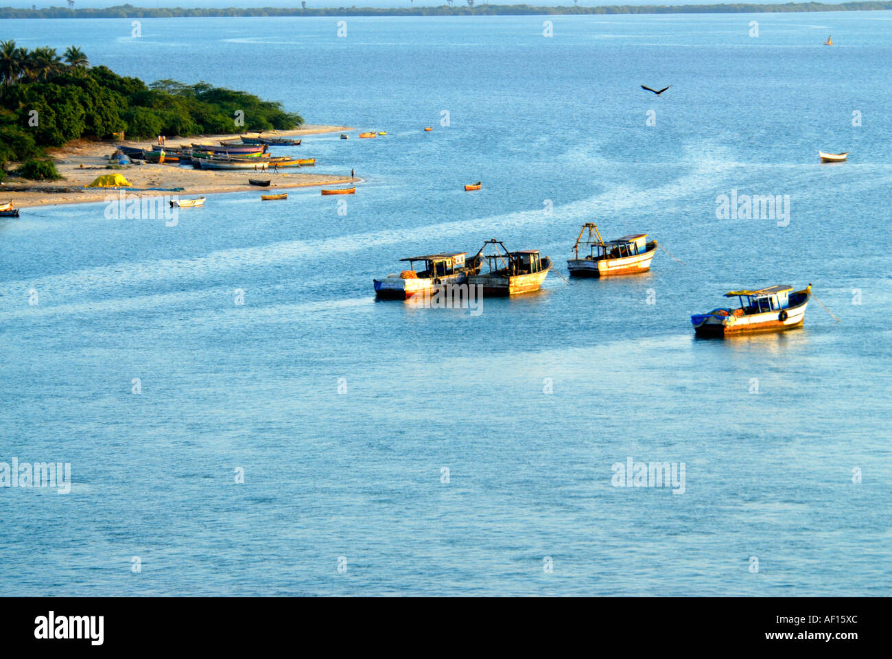 Barche da pesca ancorate alla costa RAMESWARAM TAMILNADU Foto Stock