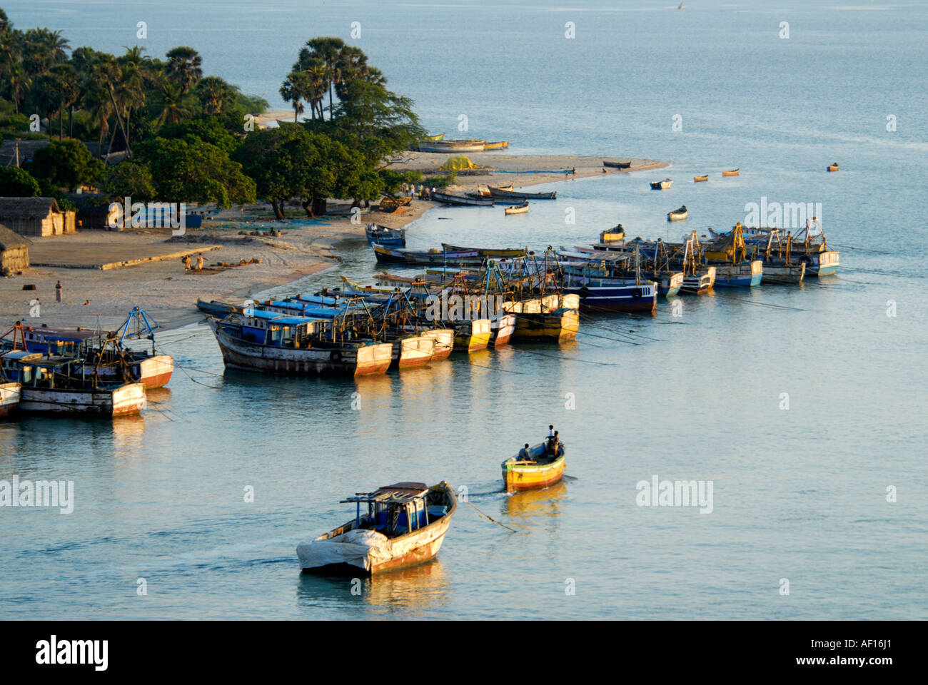 Barche da pesca ancorate alla costa RAMESWARAM TAMILNADU Foto Stock