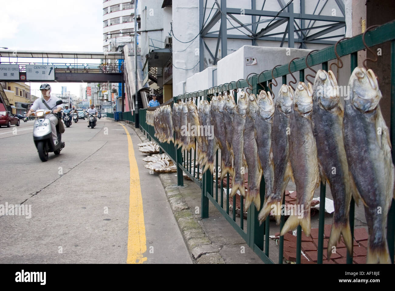 I pesci vengono appesi o messo fuori ad asciugare sul ciglio della strada sulla trafficata strada principale che circonda Macao Foto Stock