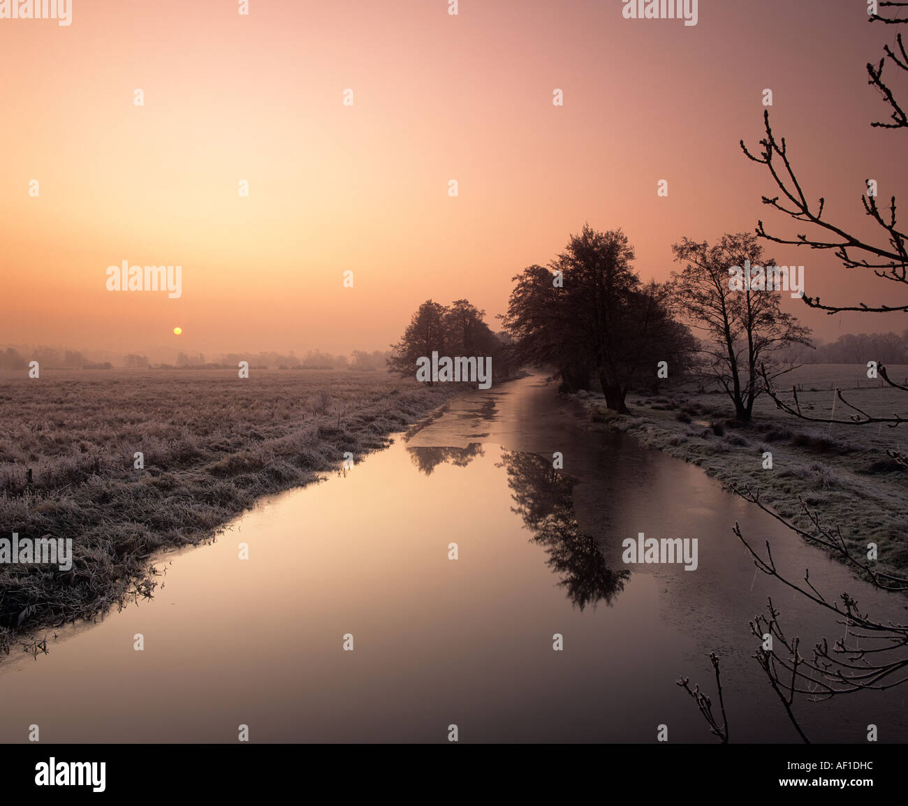 Dawn, fiume Wey Navigazione, inviare, Surrey, England, Regno Unito Foto Stock