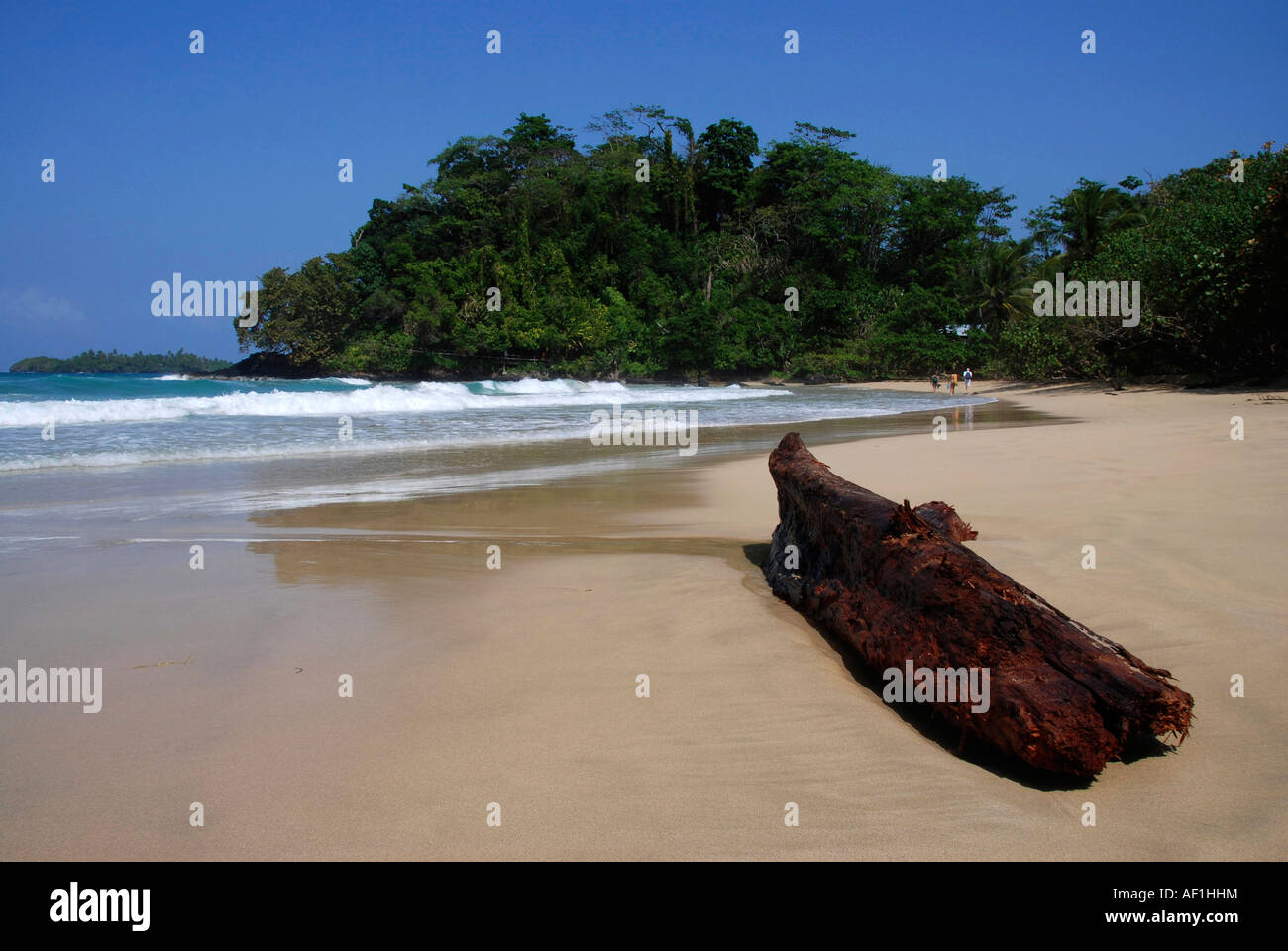 Rana rossa beach. Isola Bastimentos. Arcipelago Bocas del Toro. Panama. America centrale Foto Stock