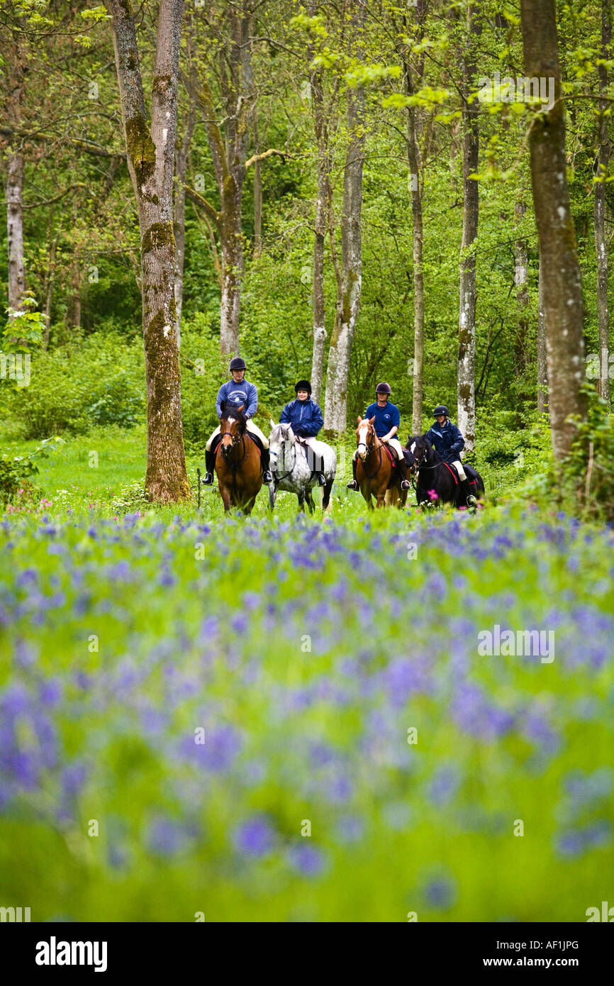 Trekking a cavallo nel Parco Nazionale di Brecon Beacons, Galles Foto Stock