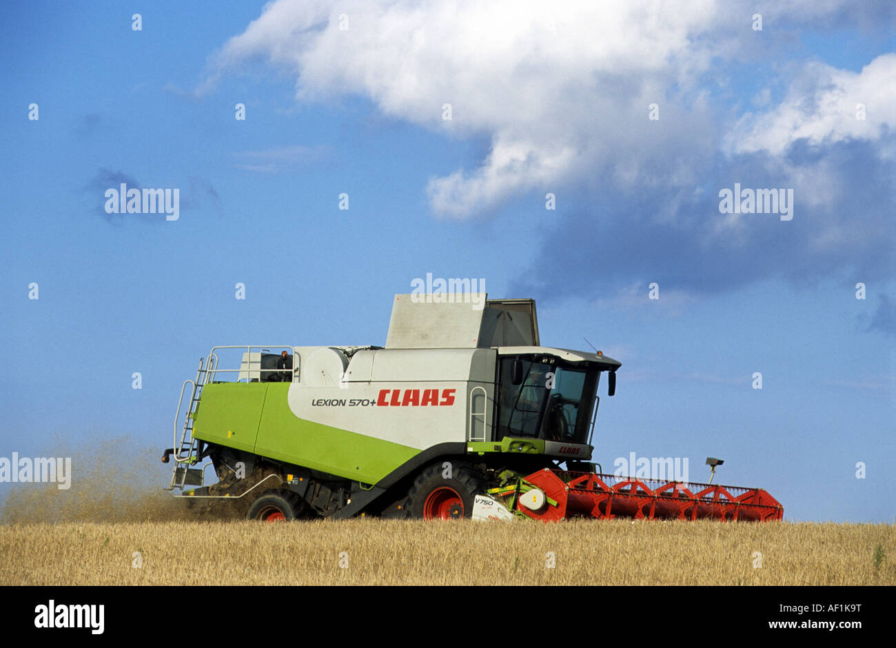 Claas mietitrebbia il taglio del frumento su terreno coltivato nei pressi di Snape, Suffolk, Regno Unito. Foto Stock