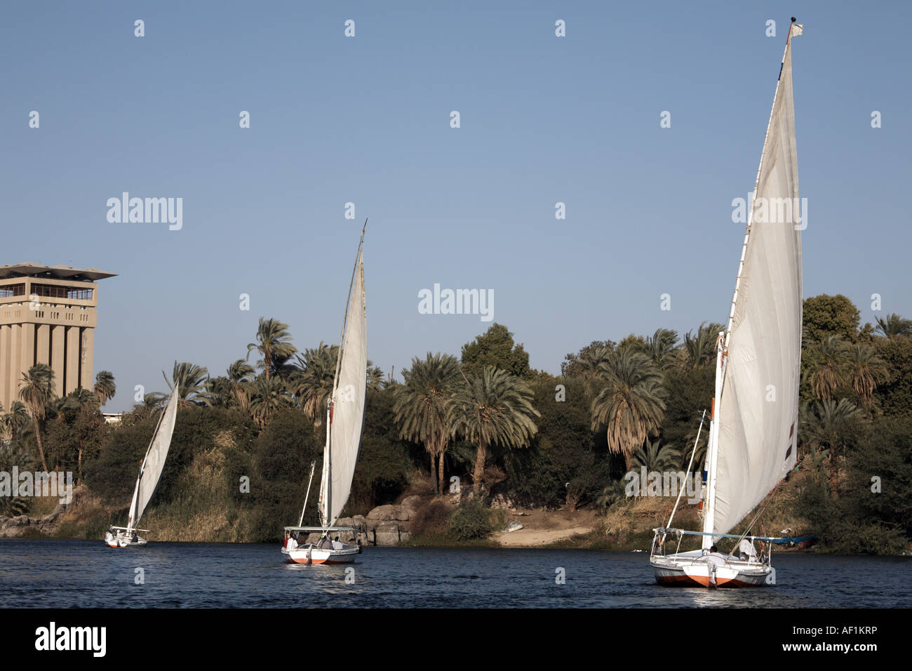 Feluche, Aswan Foto Stock