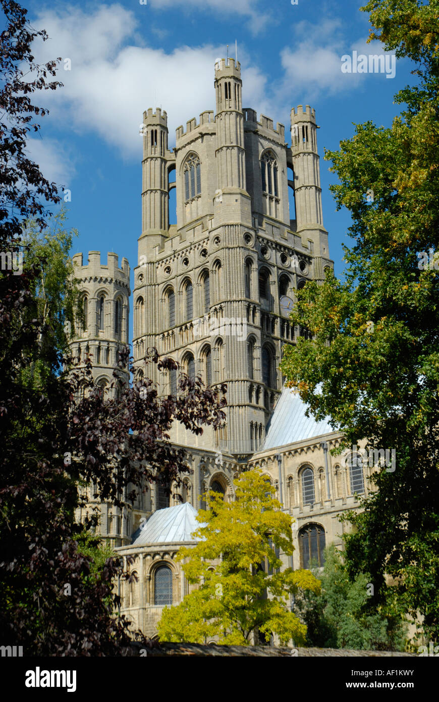 Vista ravvicinata della Cattedrale di Ely torre ovest e sud ovest del transetto si vede attraverso gli alberi dei giardini monastici Foto Stock