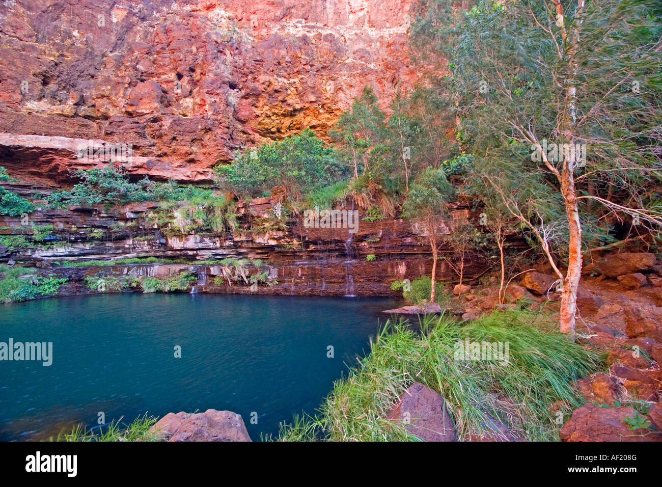 Piscina circolare in Karijini National Park, Australia occidentale Foto Stock