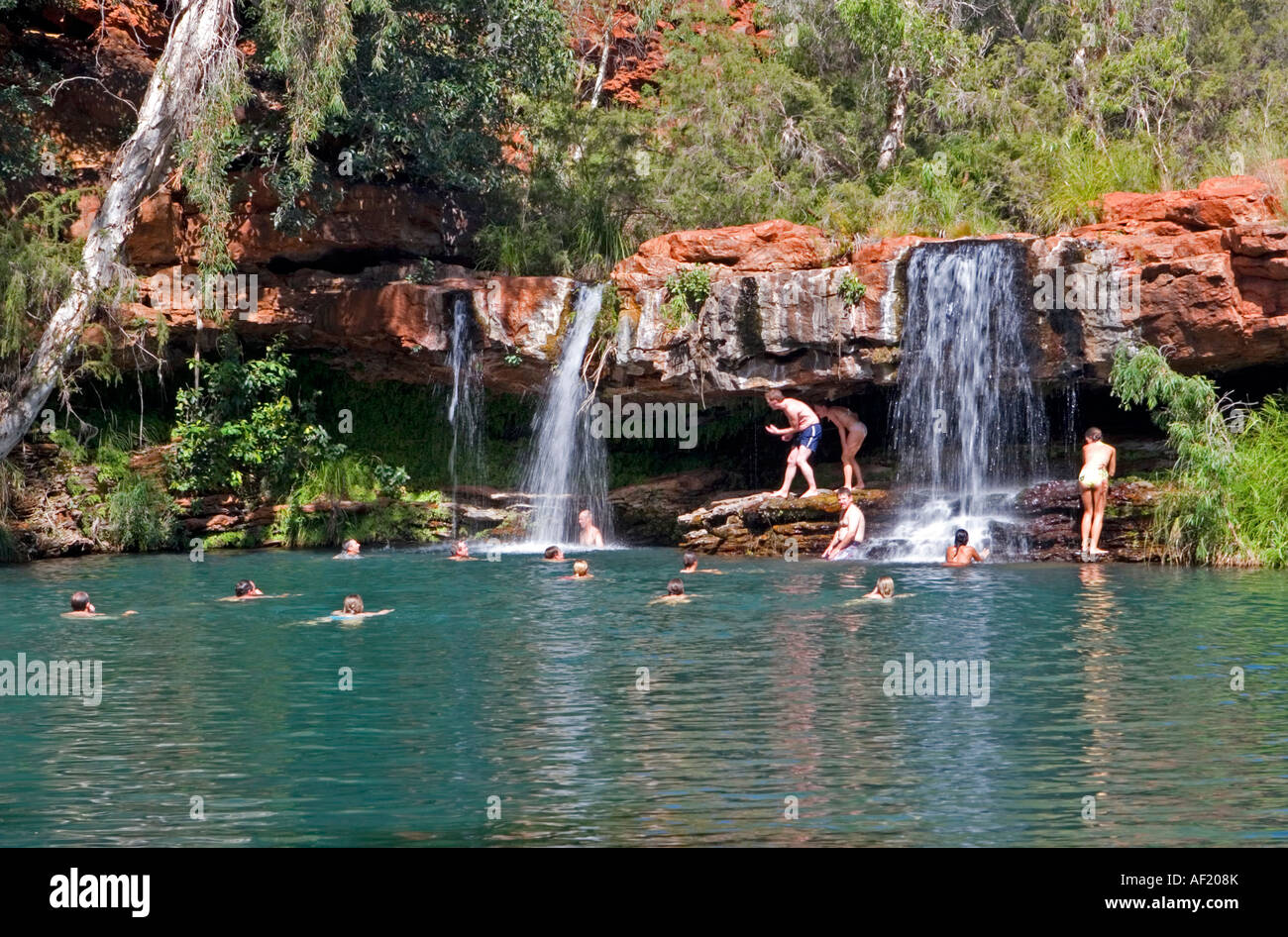 Pool di felce in Karijini National Park, Australia occidentale Foto Stock