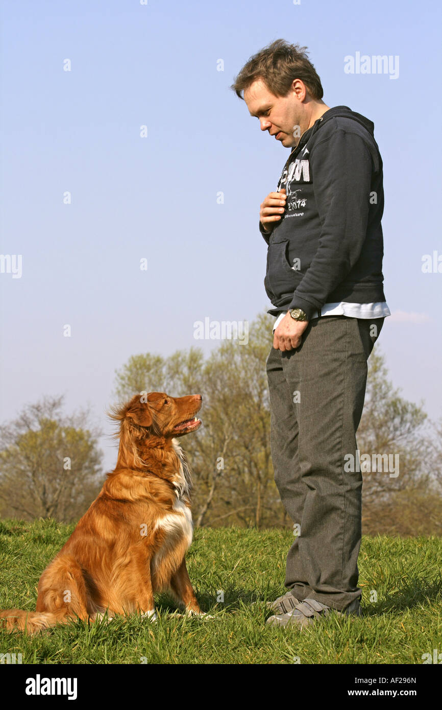 Nova Scotia Duck Tolling Retriever (Canis lupus f. familiaris), l'uomo esercita con il cane Foto Stock