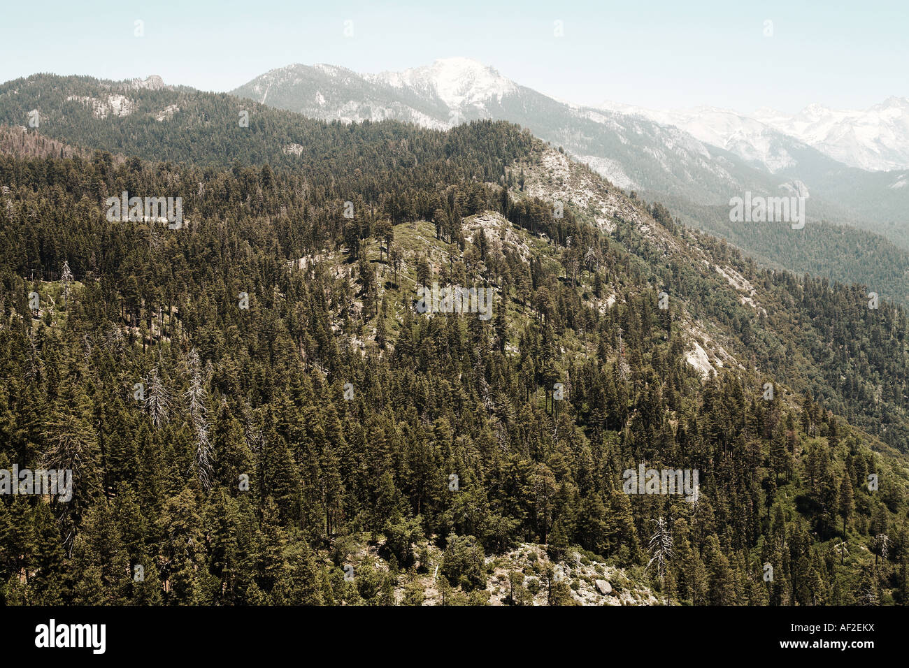 Vista dal Morro Rock in Sequoia National Park, California centrale, STATI UNITI D'AMERICA Foto Stock