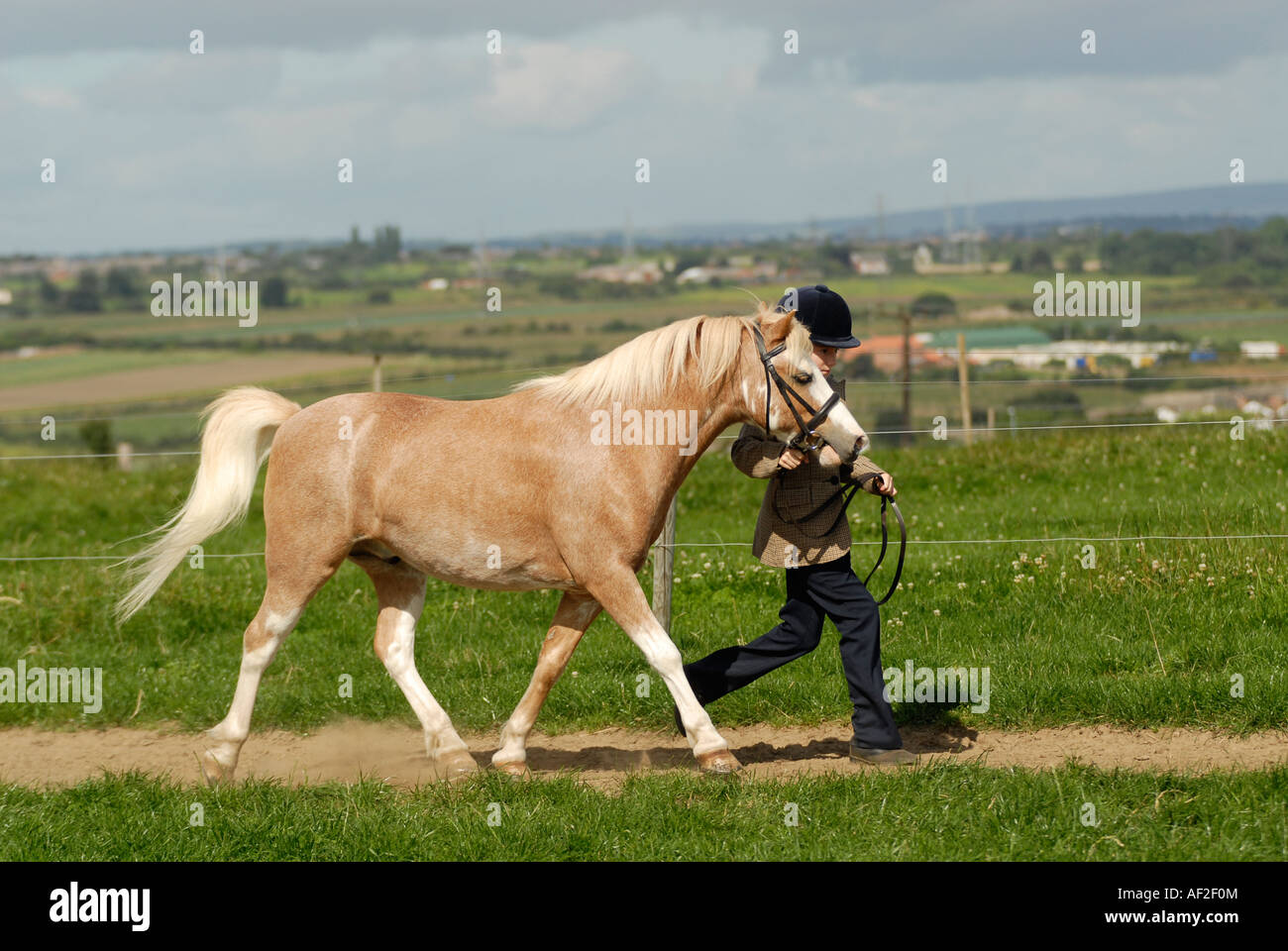 Ragazza che mostra un pony Foto Stock