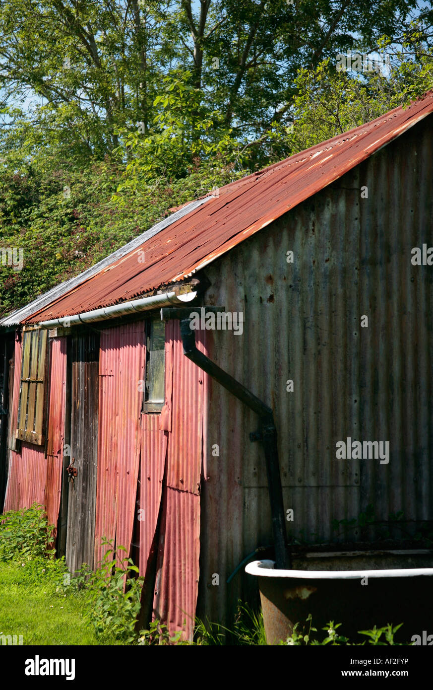 Vecchio capannone in ferro ondulato con vecchio bagno con piano in rotolo all'esterno Foto Stock