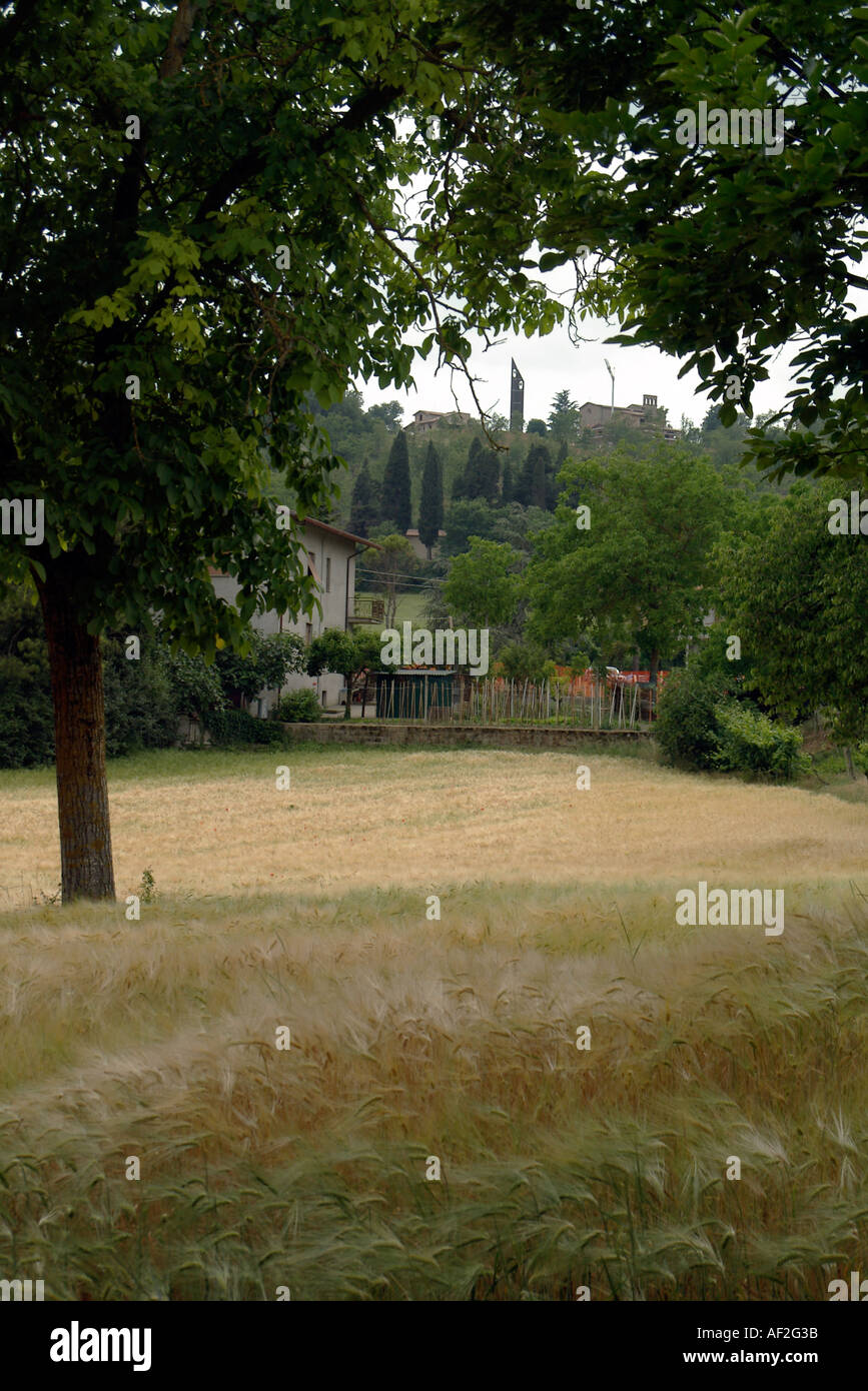 Una guglia della chiesa e un campo di grano in Italia rurale Foto Stock