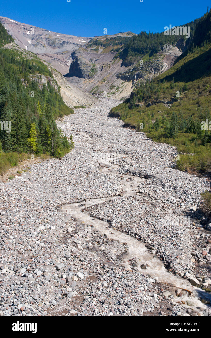 Il fiume Nisqually morena e al di sotto di Nisqually Glacier Il Parco Nazionale del Monte Rainier Washington Foto Stock