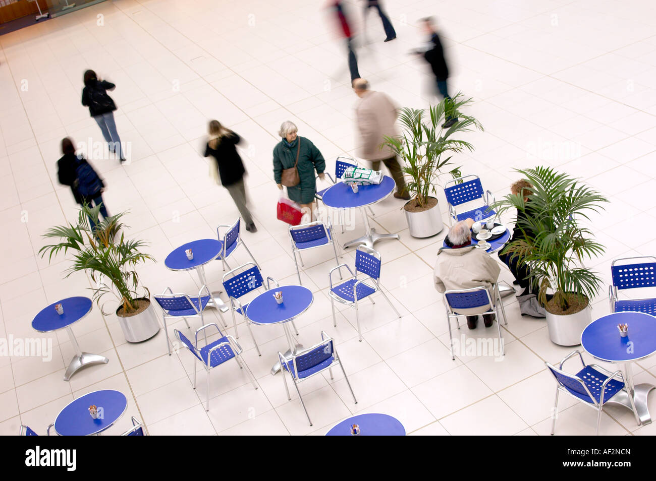 AREA CAFFETTERIA NEL FORUM BIBLIOTECA, NORWICH, Inghilterra, Regno Unito. Foto Stock