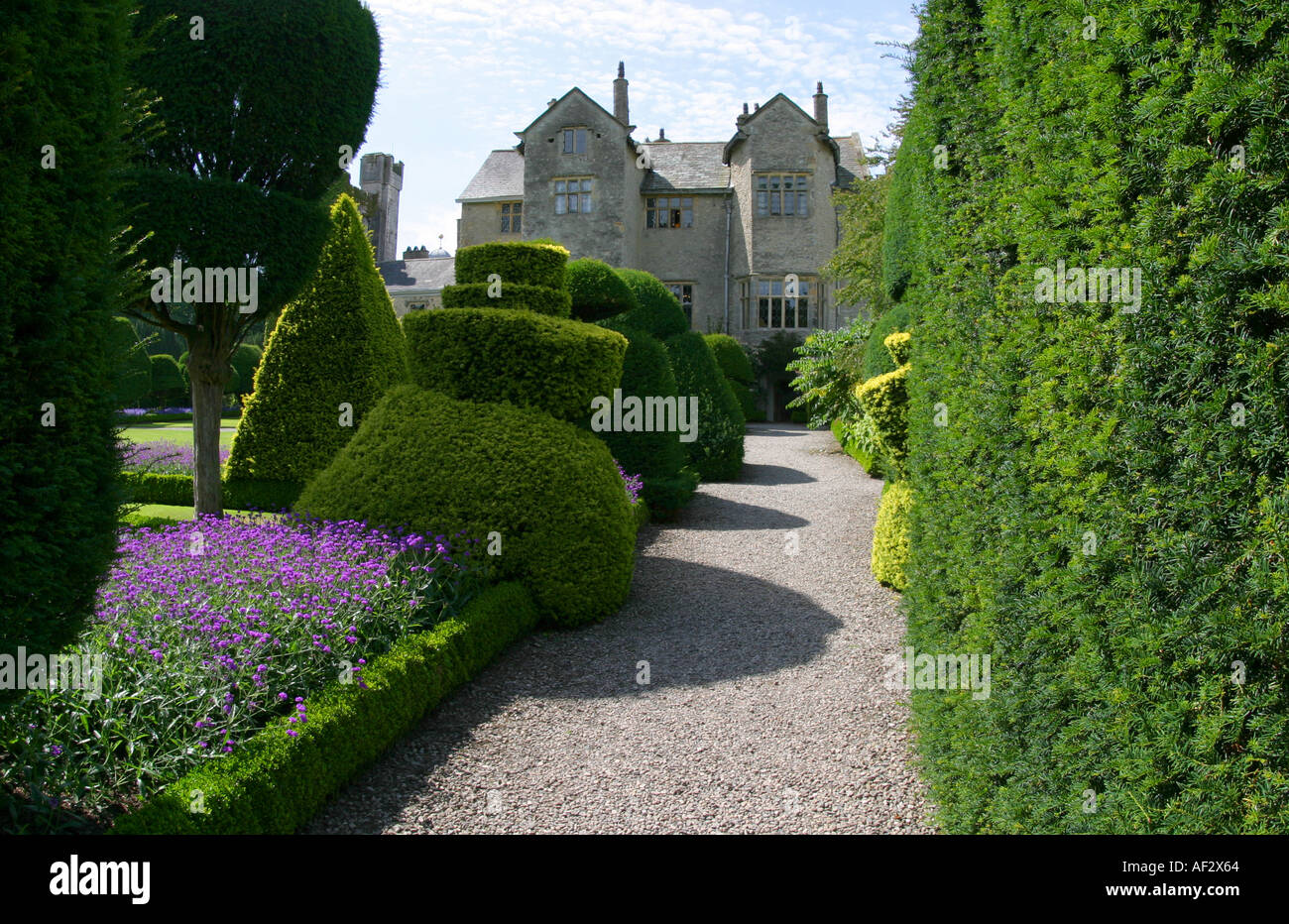 Topiaria da giardini a Levens Hall nel Regno Unito Foto Stock