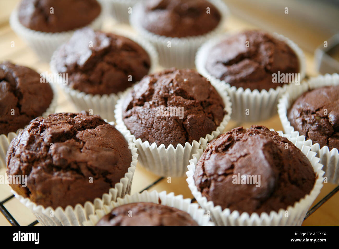 Appena sfornato tazza di cioccolato dolci / muffin raffreddamento su un rack. Foto Stock