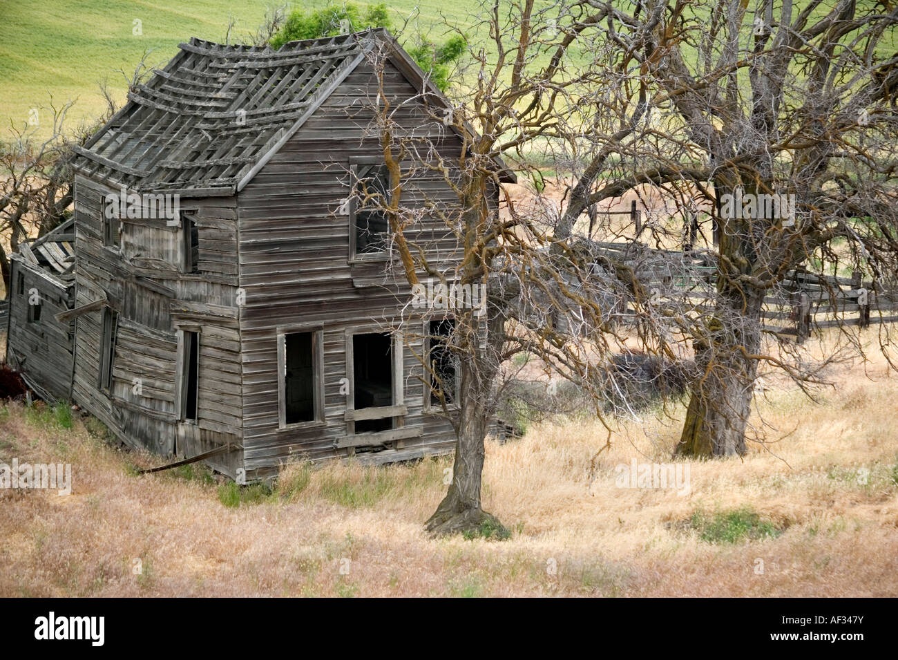 Antico casolare risalente all'inizio del 1900' s. Foto Stock